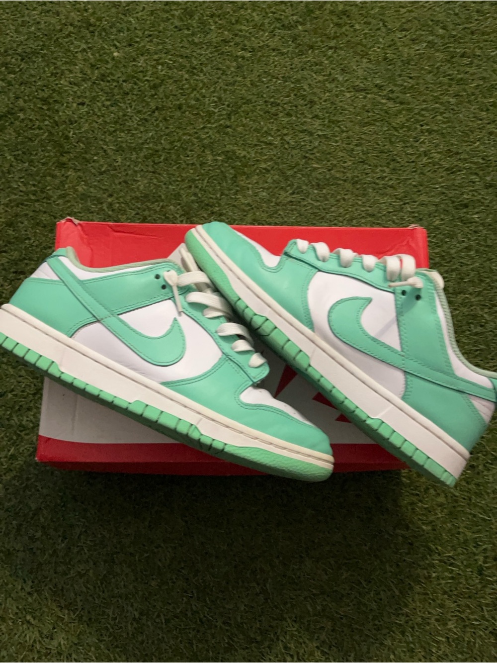 Nike Low-Top Sneakers in Mint Green and White